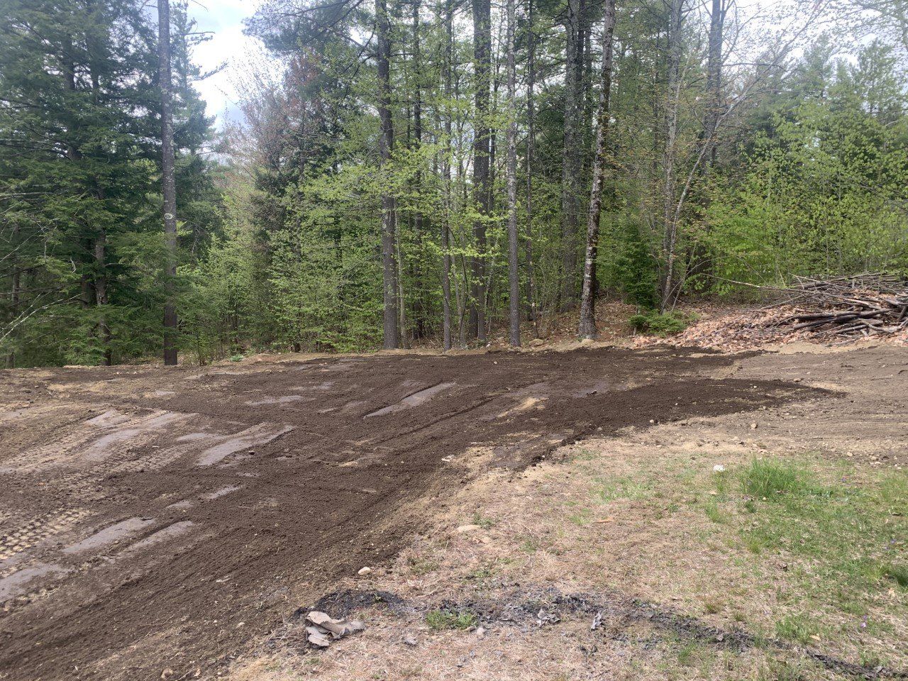 Graded Area for Seeding