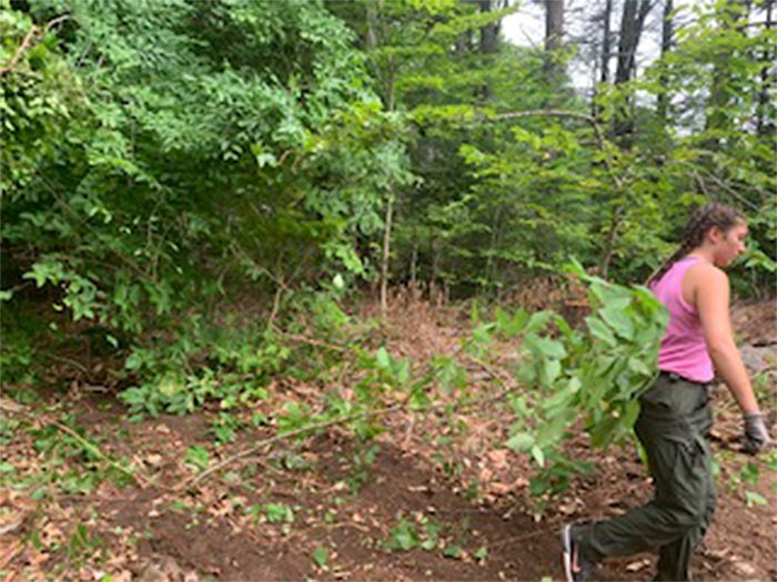 Woman Removing Branches