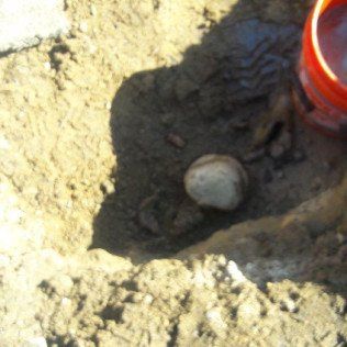 Worker Collection Soil