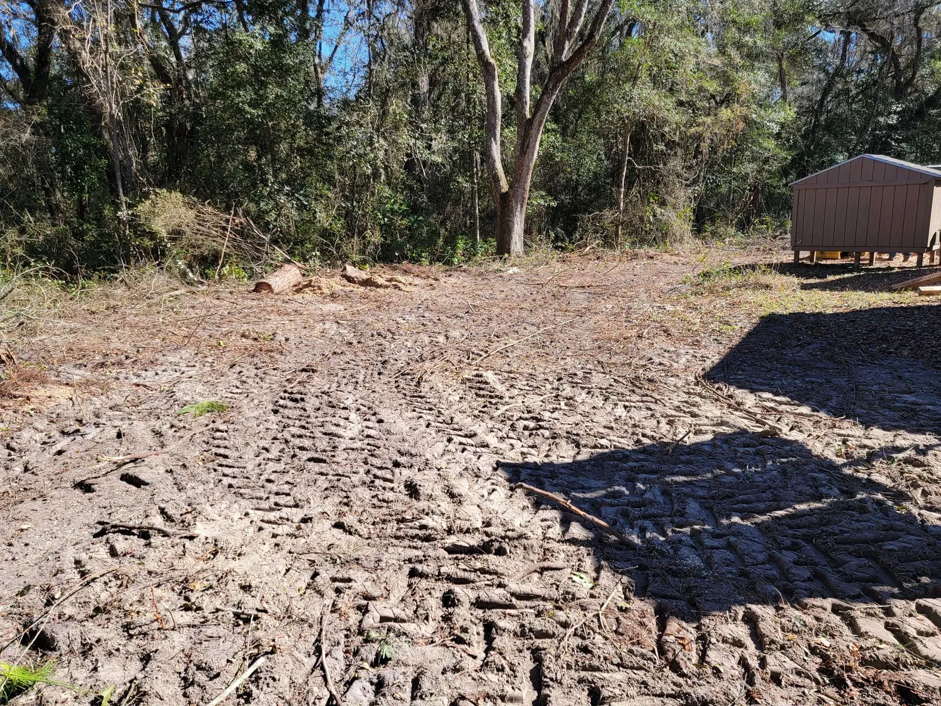 Muddy dirt path with tire tracks, leading toward trees and a small structure in a sunny outdoor setting.