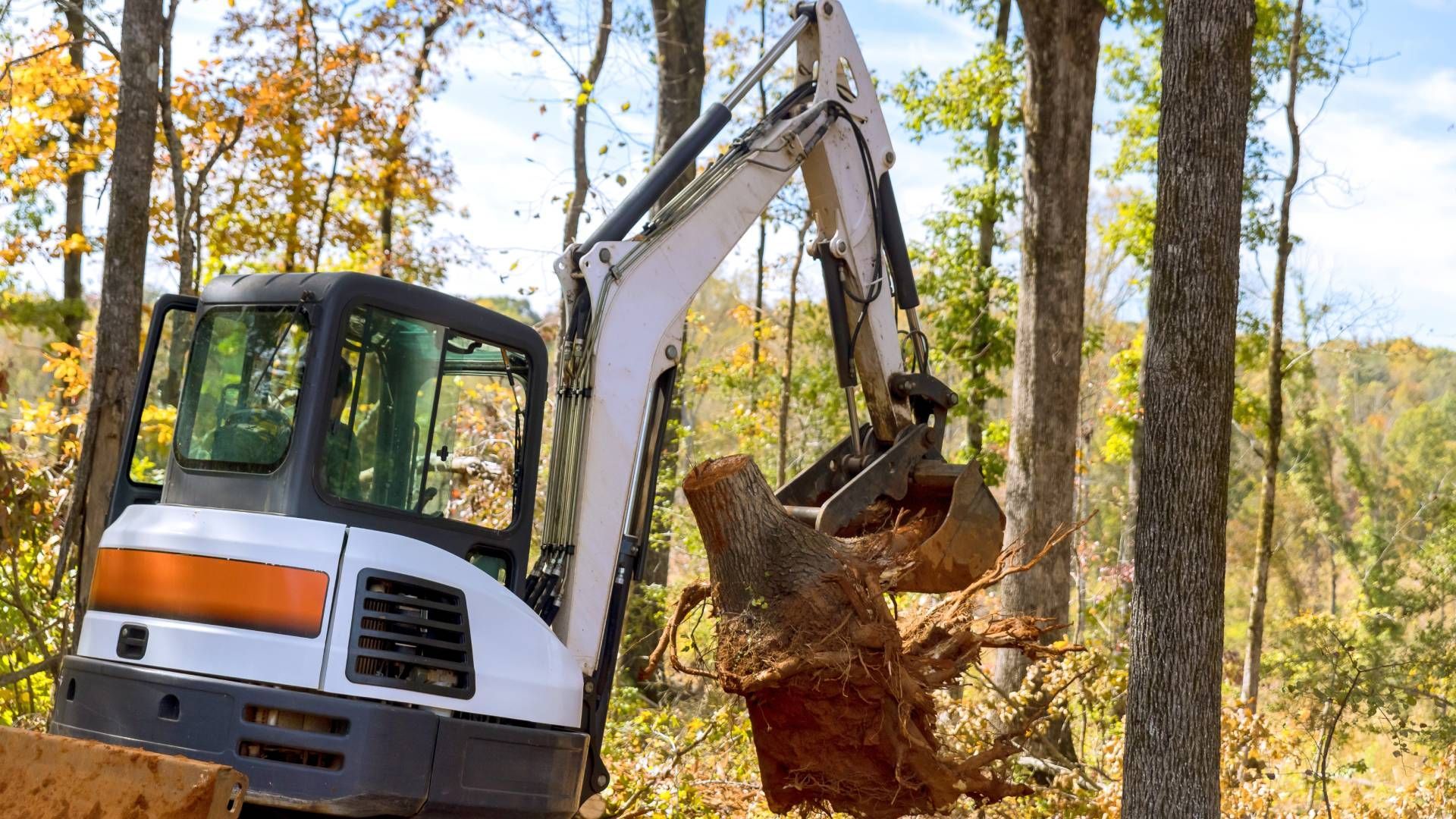 Mini excavator lifting a tree stump in a wooded area, surrounded by trees with fall foliage.