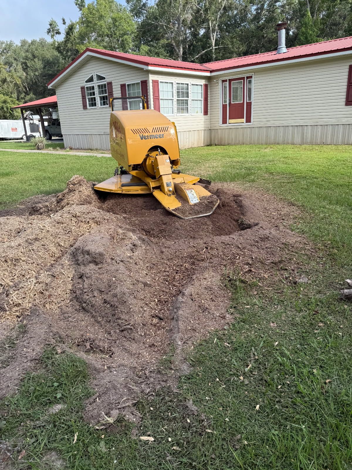 Yellow stump grinder grinding a tree stump in front of a house.