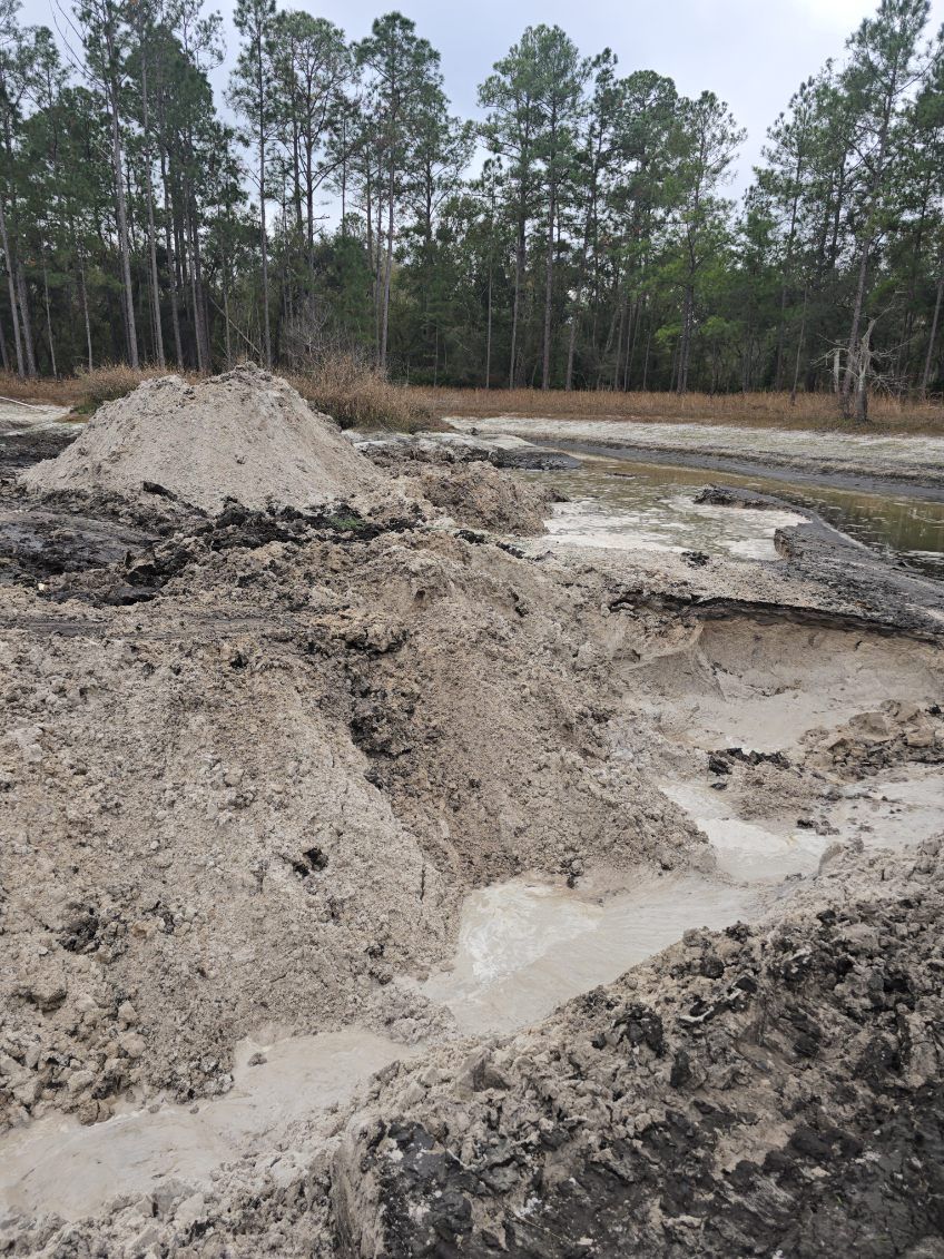Muddy terrain with puddles, likely a disturbed landscape with trees in the background.