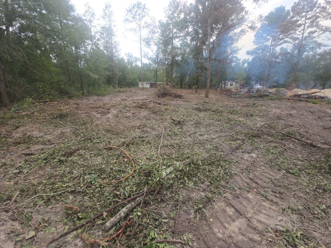 Clearing of wooded land; ground covered with cut branches, small debris, and dirt. Trees in the background.