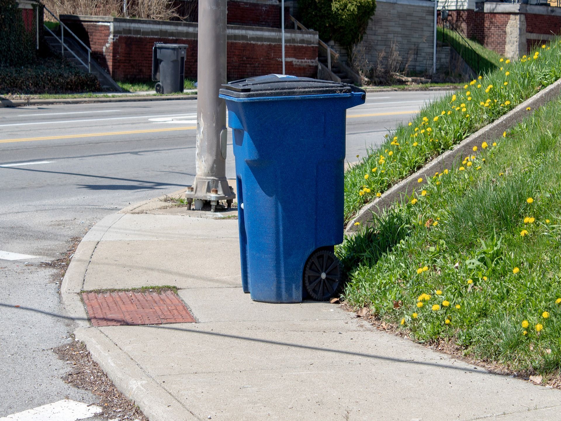 A blue rolling trash bin sits on a concrete sidewalk next to a grassy embankment covered in yellow dandelion flowers.