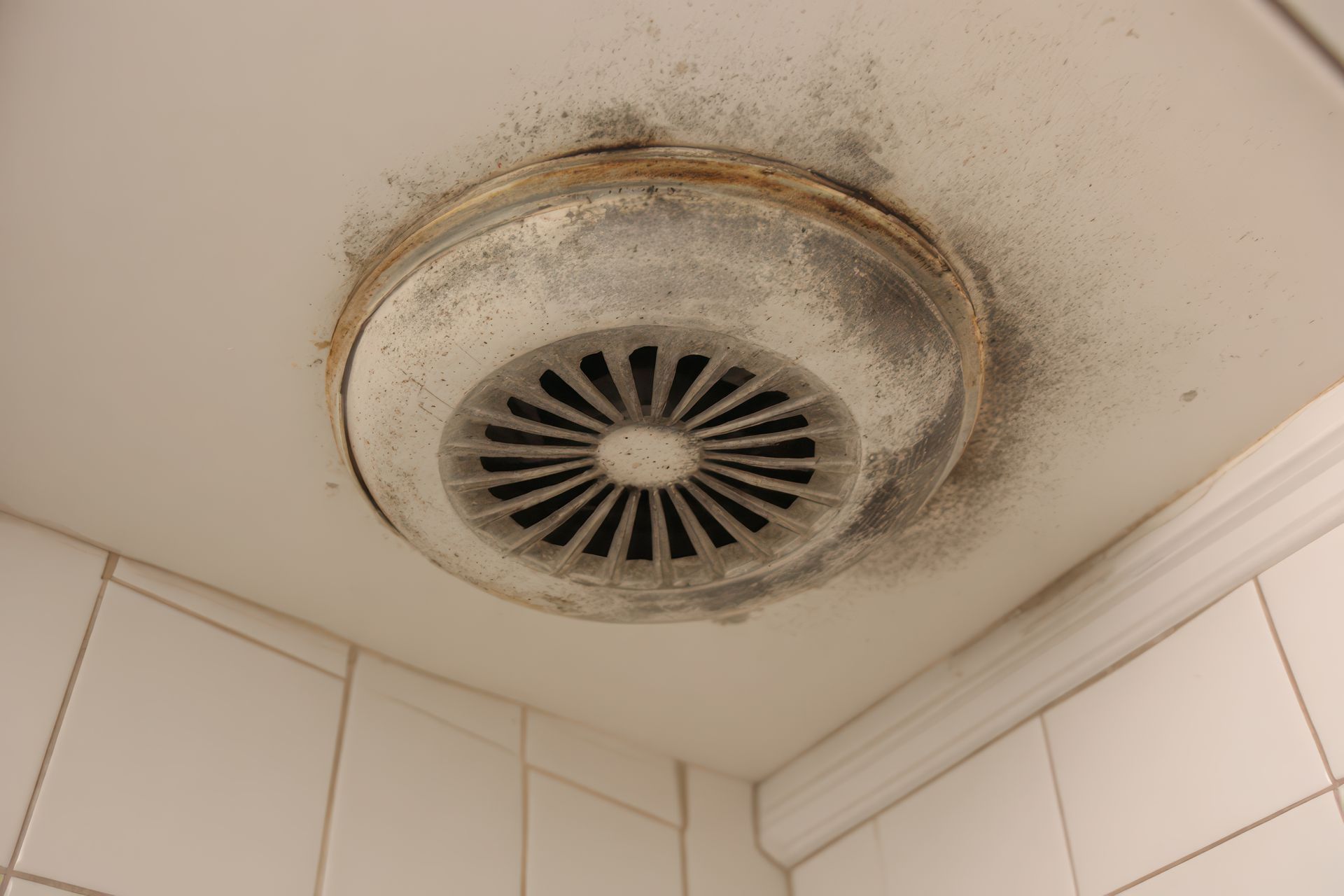A black canister vacuum cleaner with a red hose and a specialized brush attachment, shown in an indoor setting.