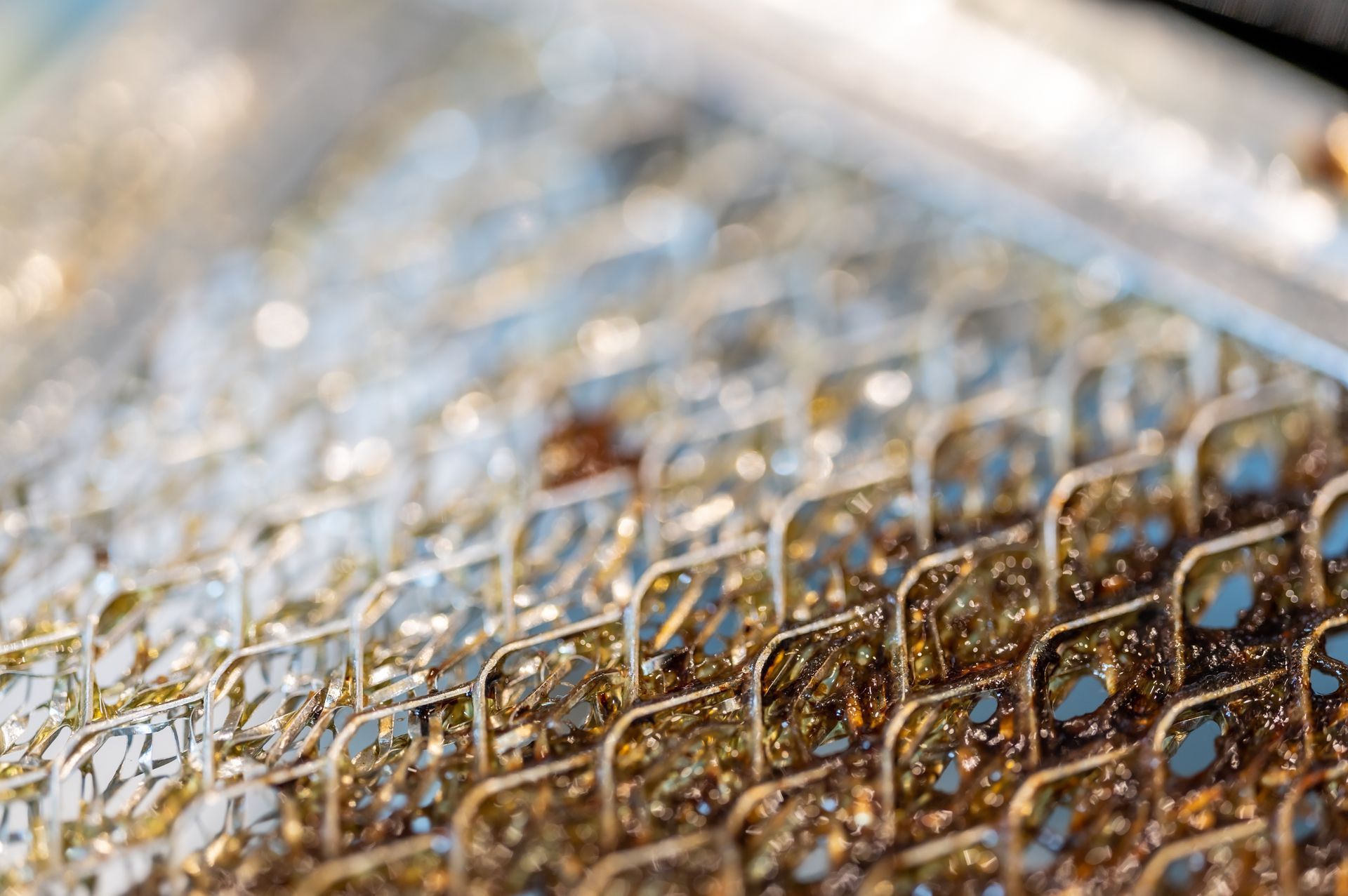 A black canister vacuum cleaner with a red hose and a specialized brush attachment, shown in an indoor setting.