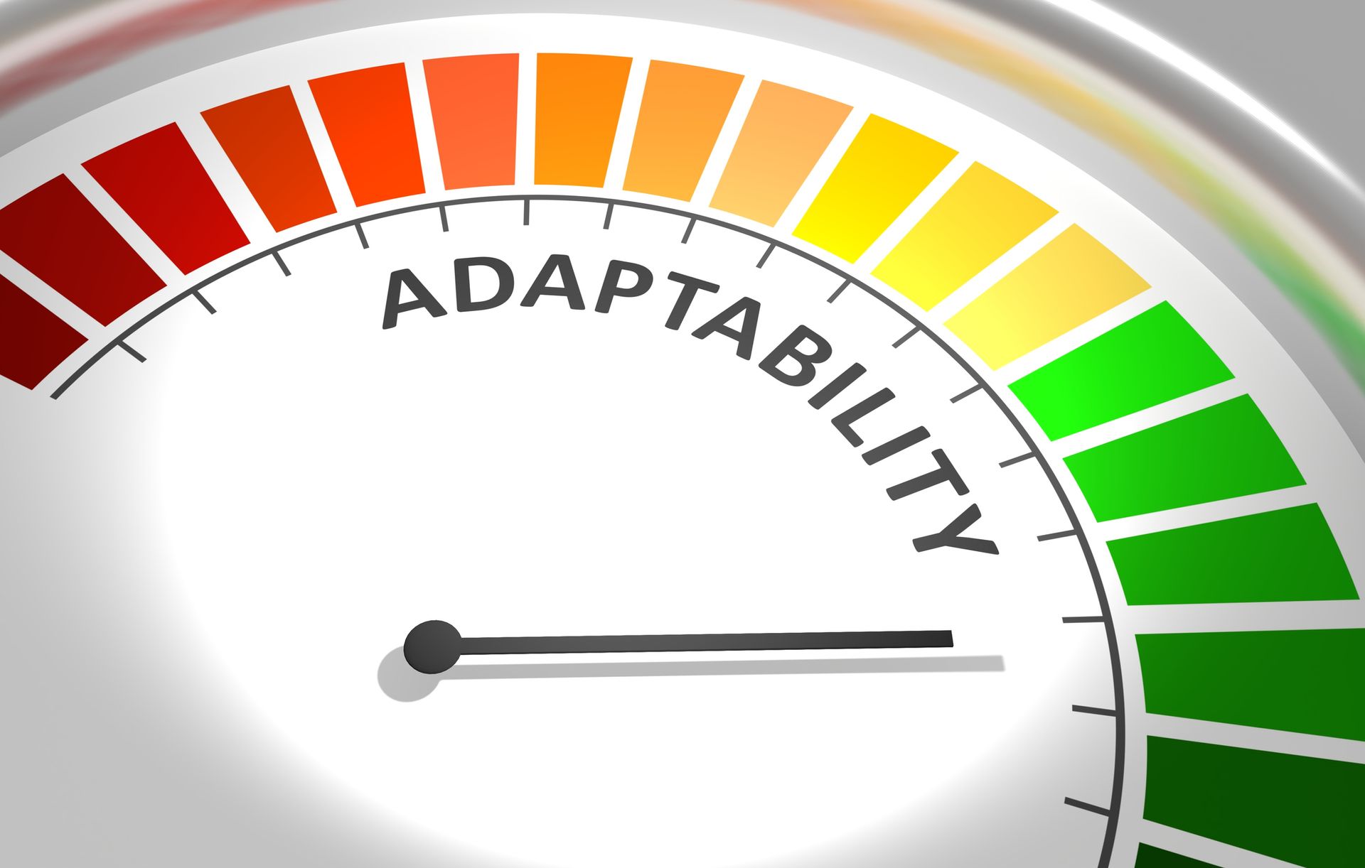 Why Adaptability Matters