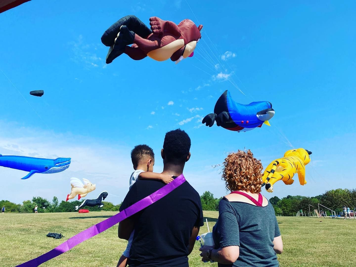 Great American Kites Event Calendar