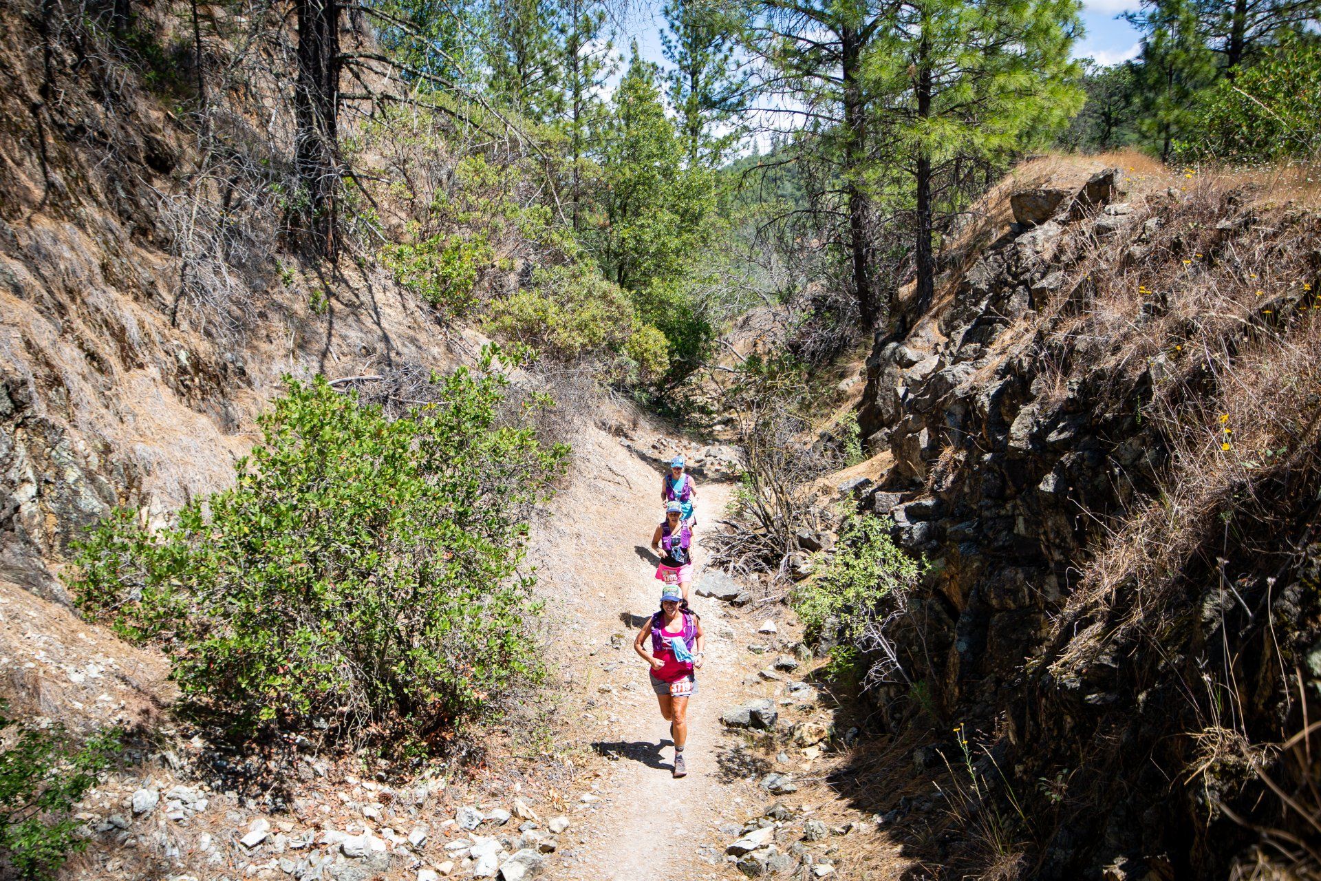 onitsuka tiger birch indian ink latte