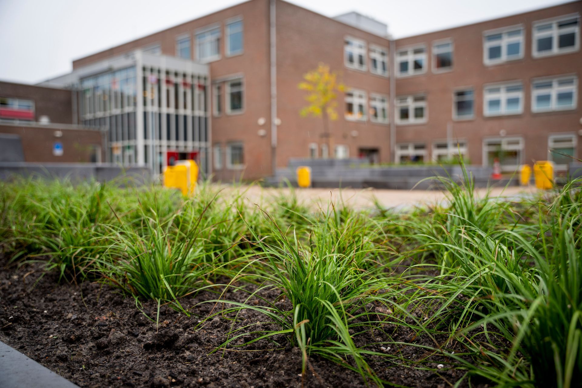Driestar College, Gouda
