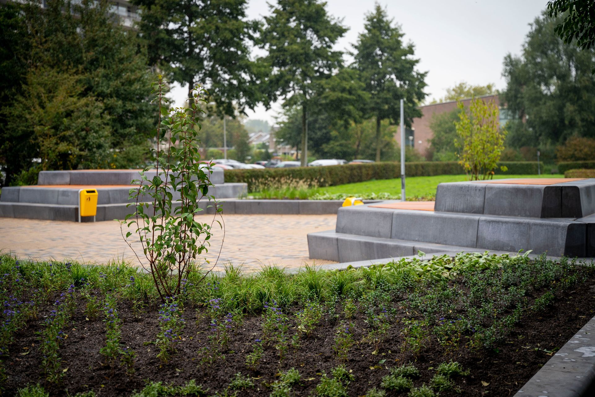 Driestar College, Gouda