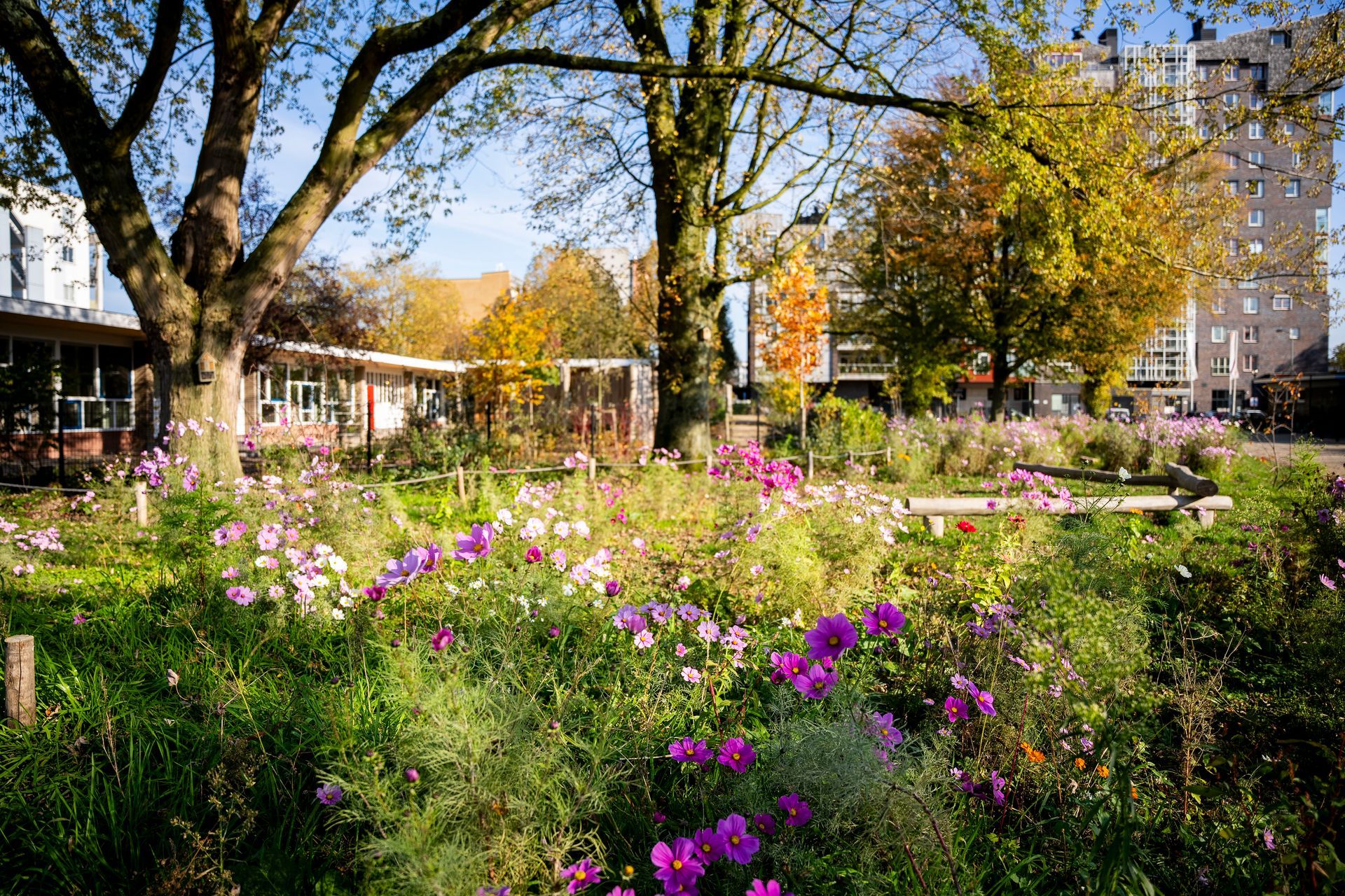 Kindertuin Ketelbinkie, Dordrecht