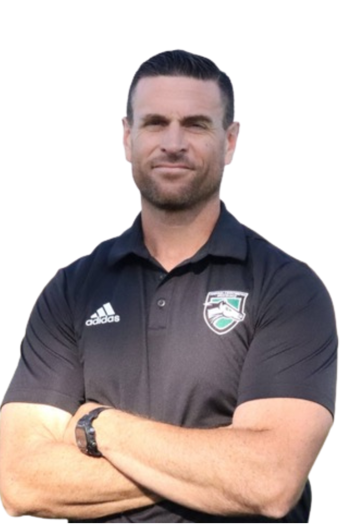 DAVID SONSINI