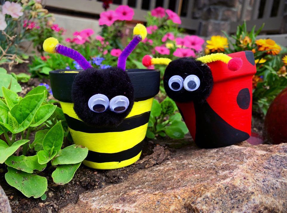 A bee and a ladybug are sitting on a rock in a garden.