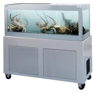 Acquario per pescheria