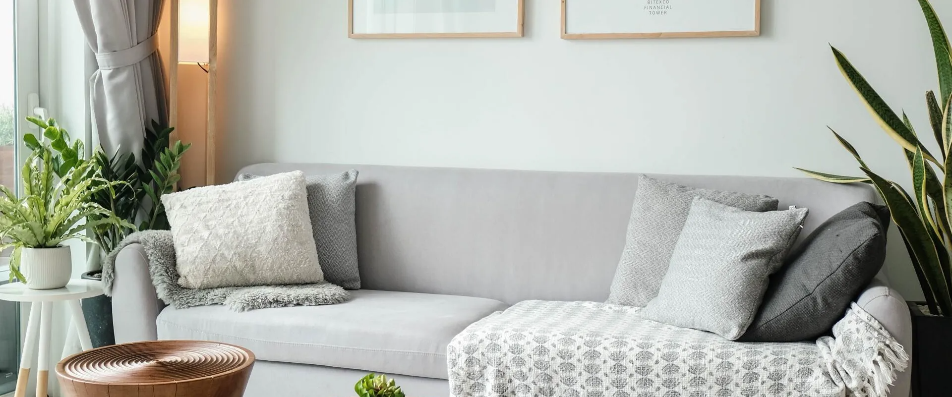 A light gray sofa with pillows and a blanket in a bright living room, plants and a coffee table present.
