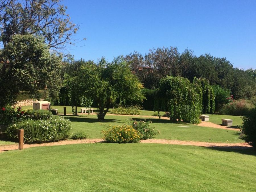 Vista di un giardino verde