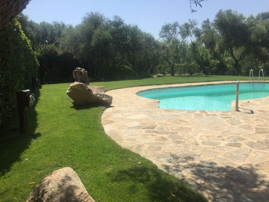 Giardino verde con piscina