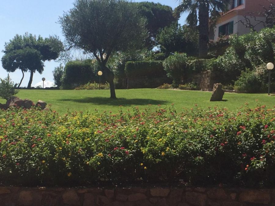 Giardino verde con prato e alberi