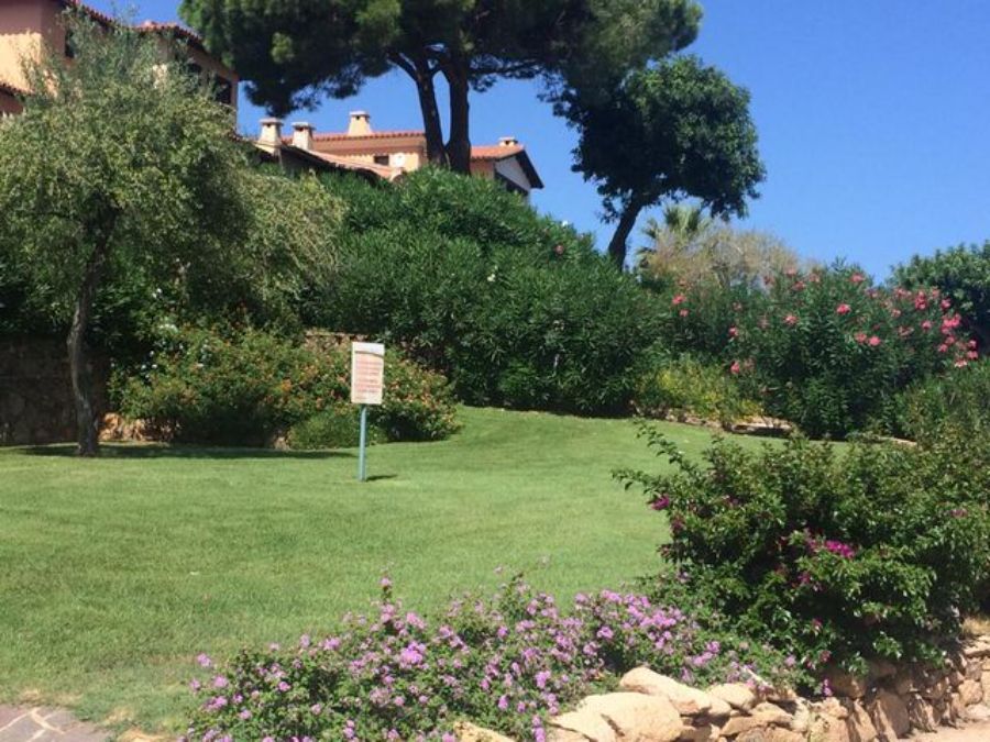 Giardino con piante e fiori vari