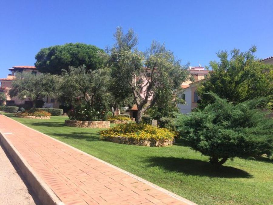 Prato verde con sentiero in mattoni e piante varie