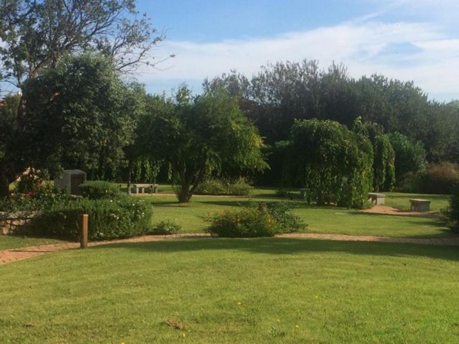 Ampio prato verde con alberi