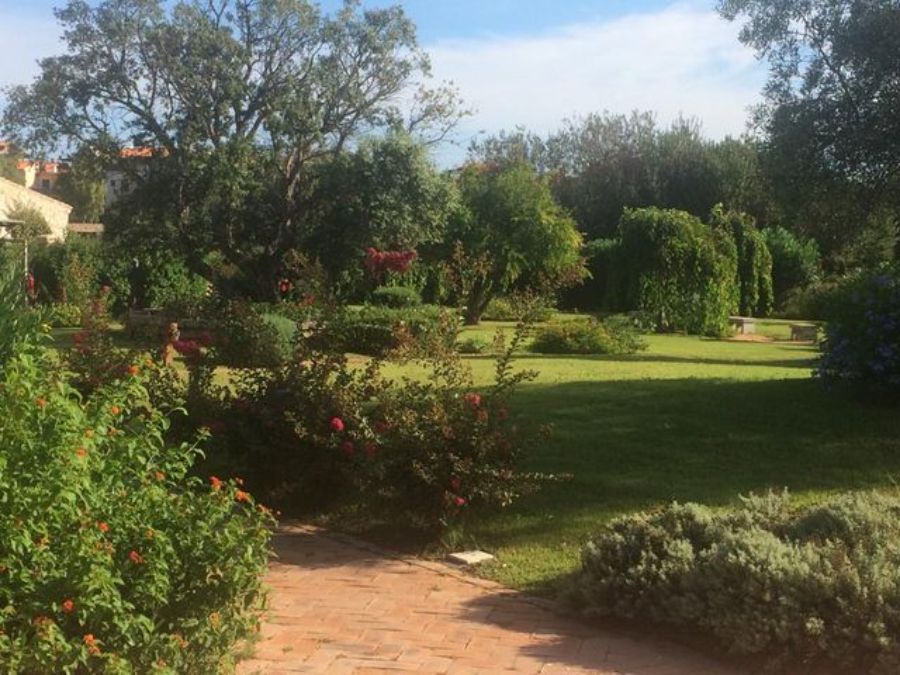 Prato verde con alberi e cespugli