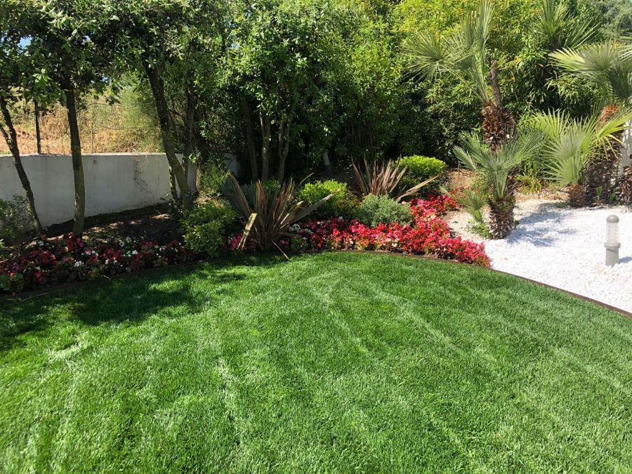 Giardino con fiori e alberi