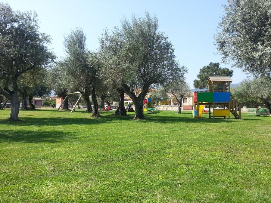 Prato con erba verde e alberi