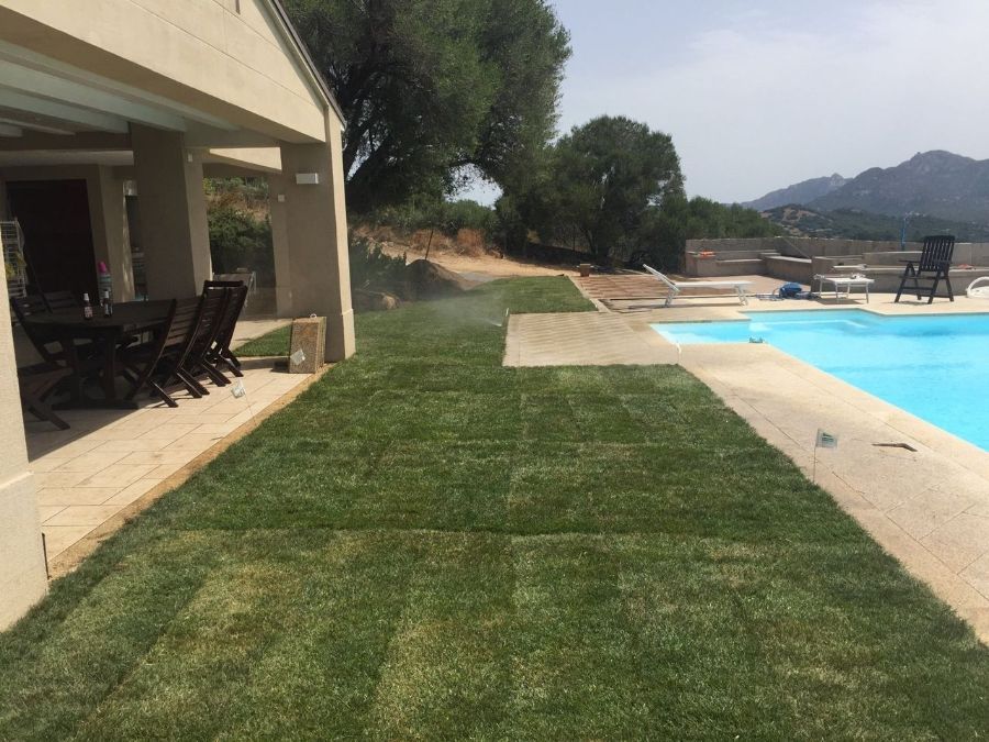 Prato verde con piscina