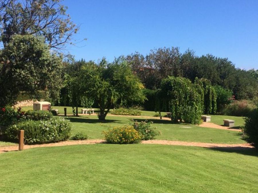 Ampio prato verde con piante