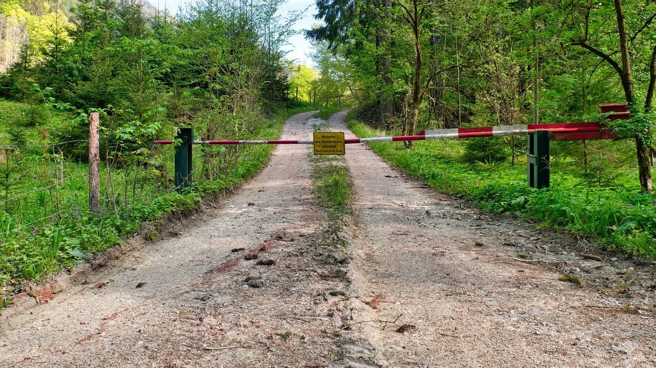 A dirt road in the woods with a red and white barrier.