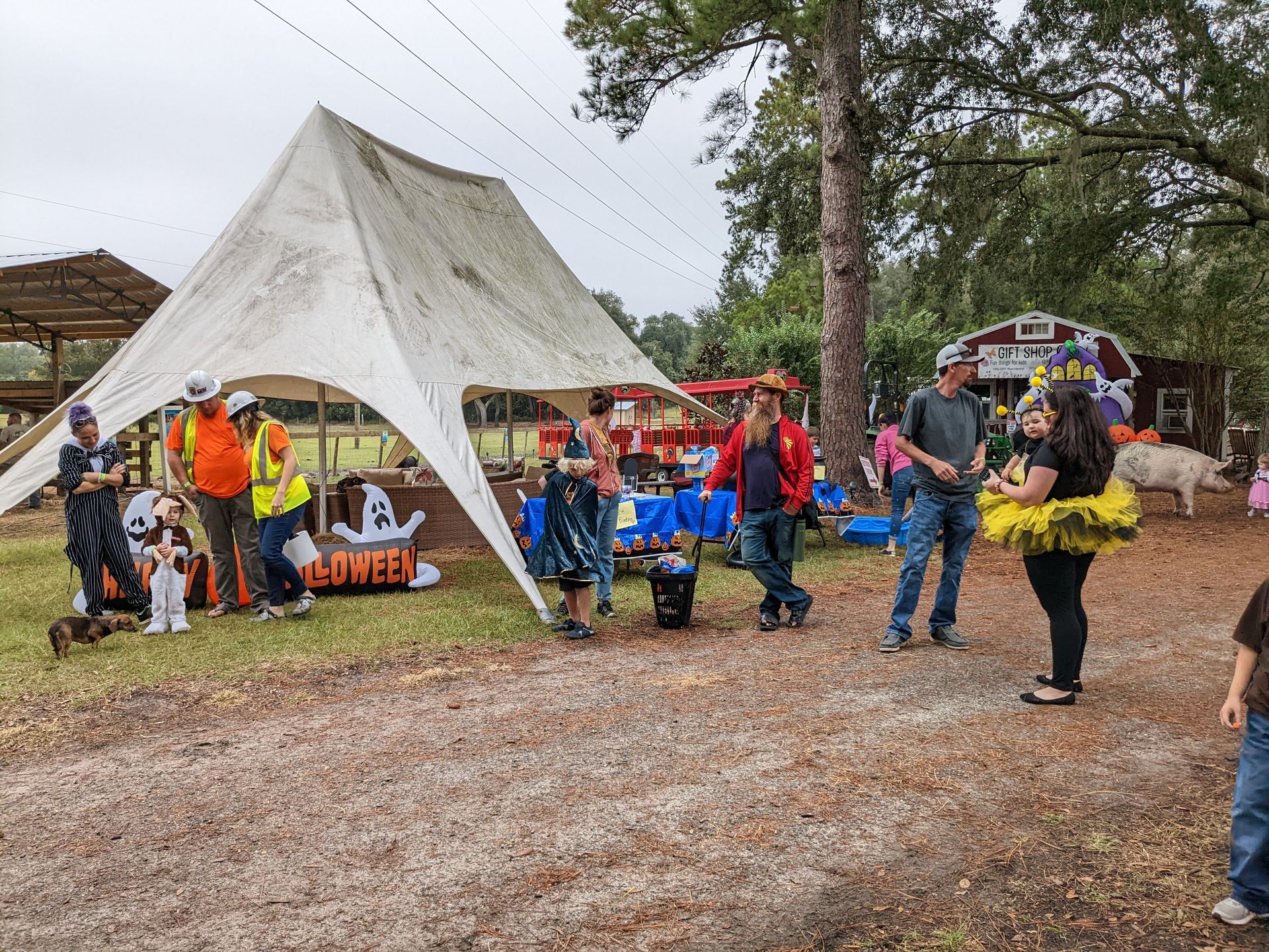 halloween weekend at rooterville farm