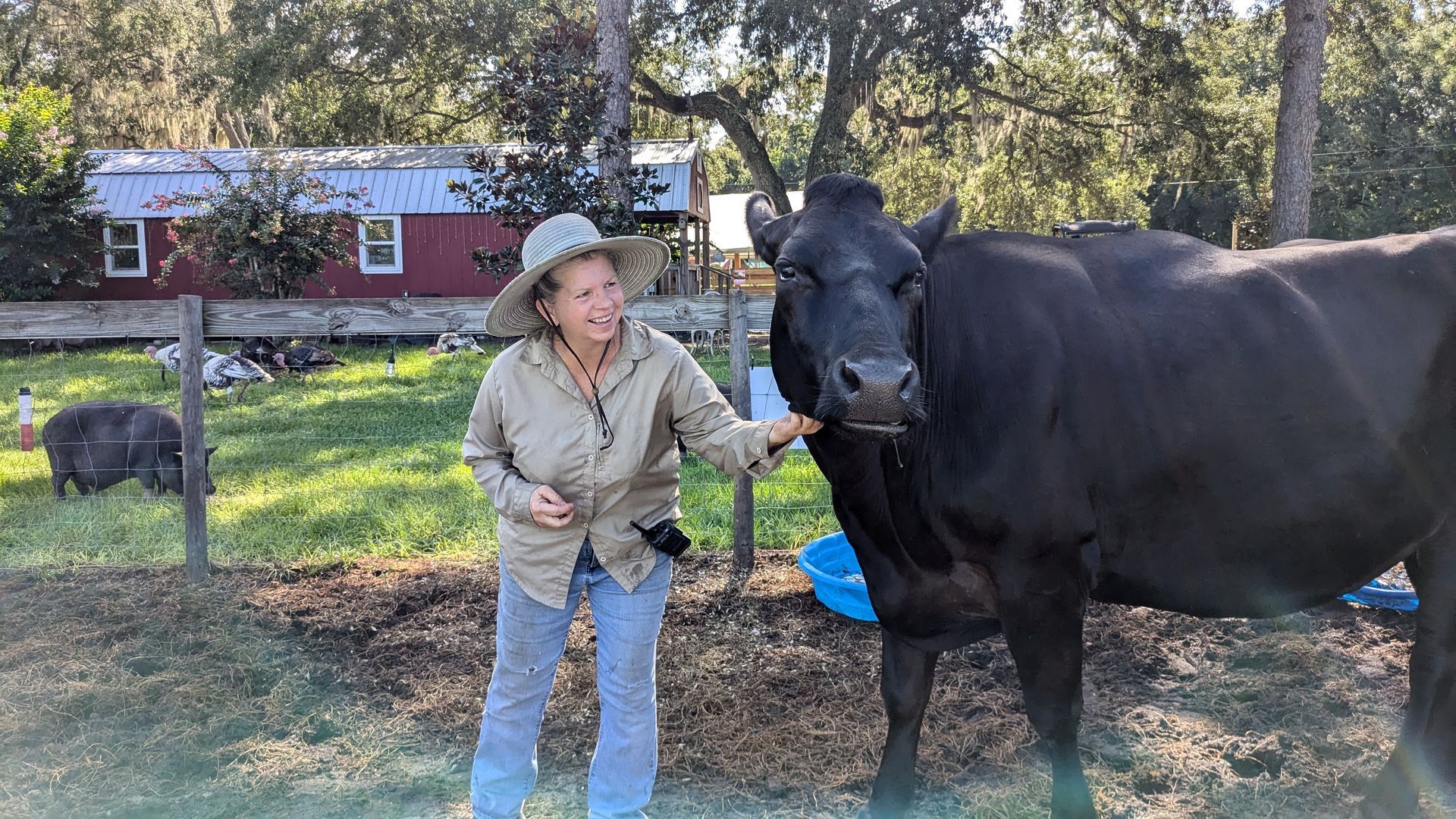 rooterville farmer petting cow