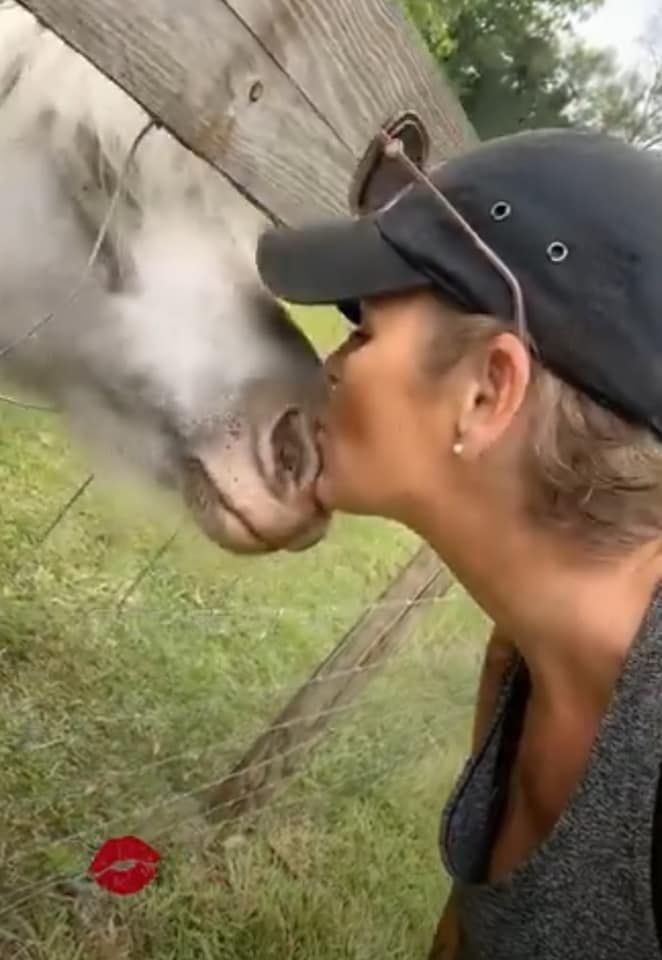Woman kissing a horse near a wooden fence in a Florida animal farm