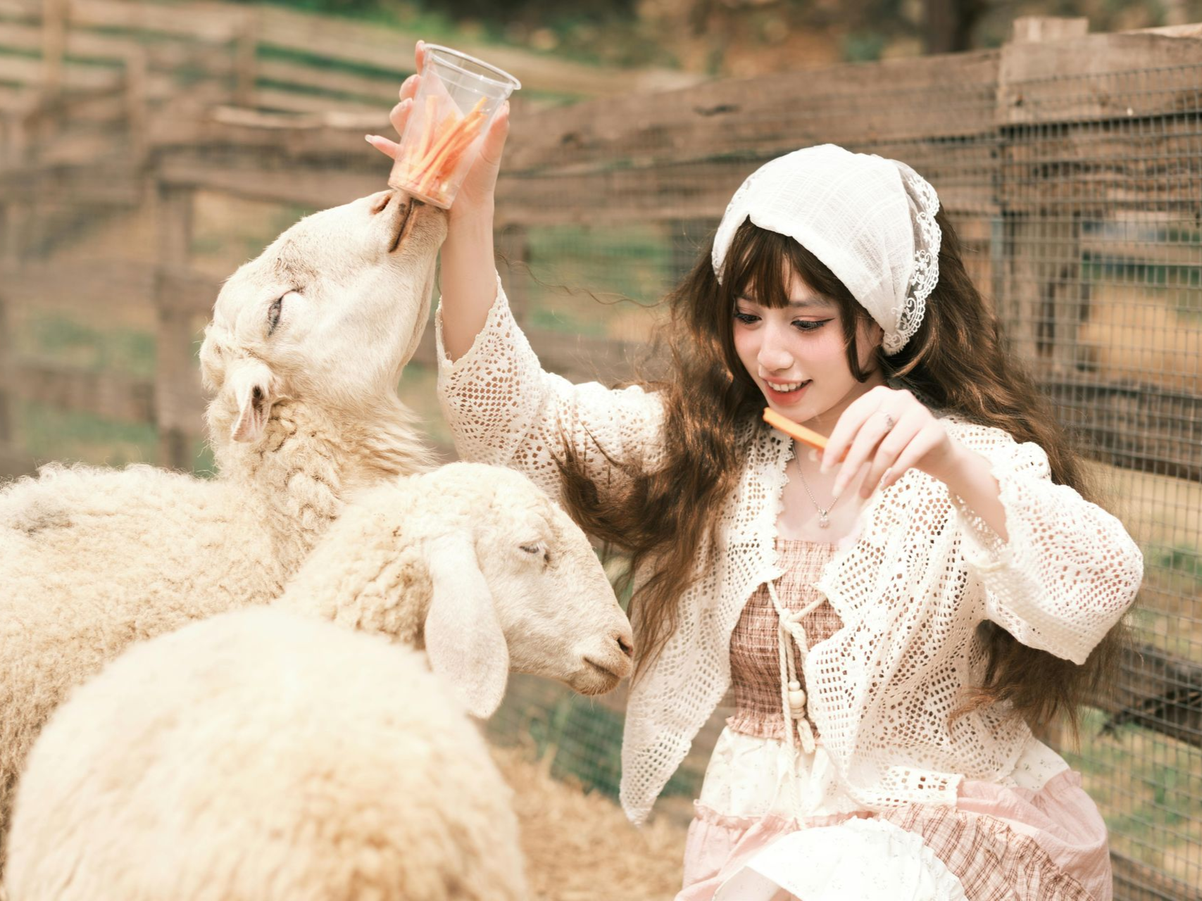 Woman in a white lace sweater feeds sheep from a cup at a farm in Rooterville