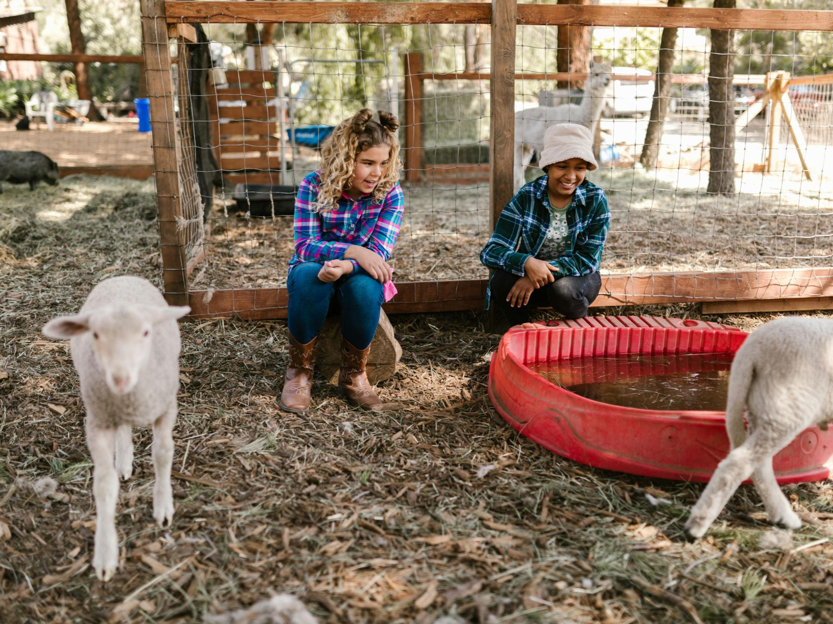 2 girls in a petting farm