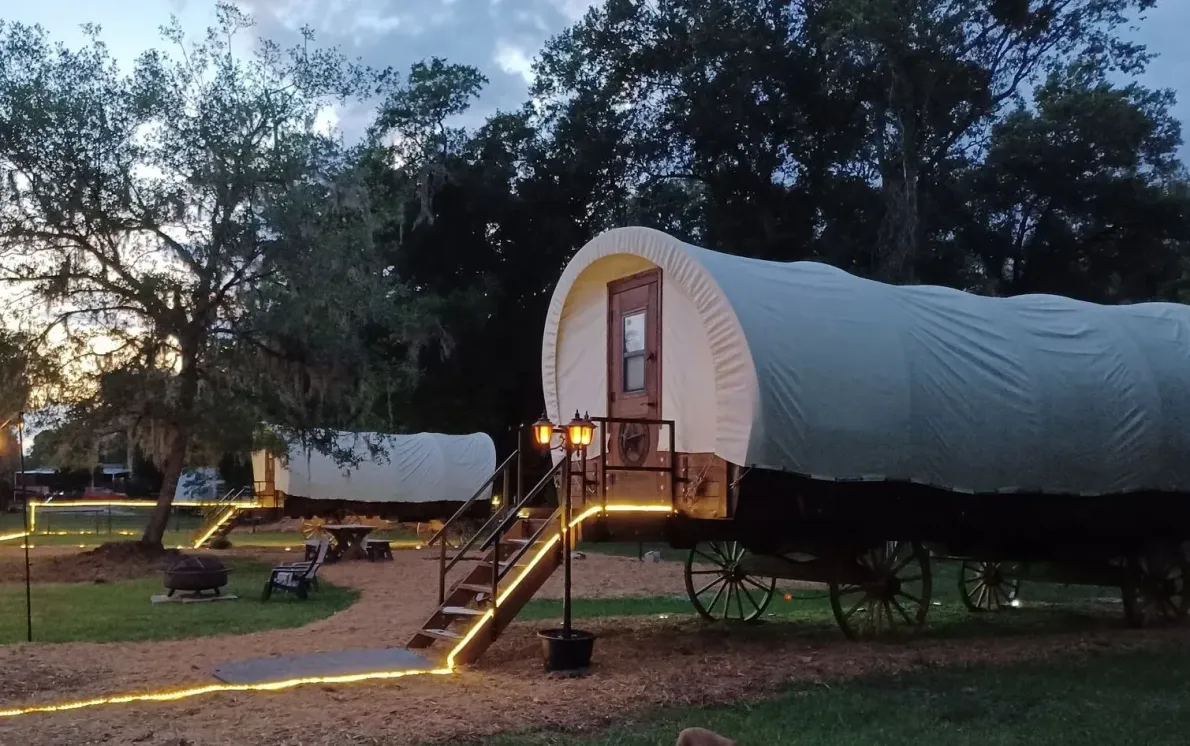 Two covered wagons with lit stairs and pathway, in a grassy area, dusk in a Florida animal farm