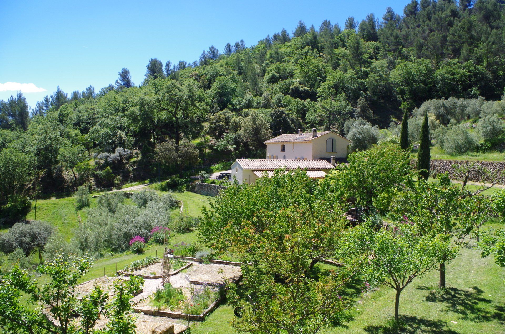 Domaines des Escavalins - Provence - gite - bastide - olive grove - olive oil producer   - holiday - olives - trail - mountain track - GR - PACA - French Riviera - Alps