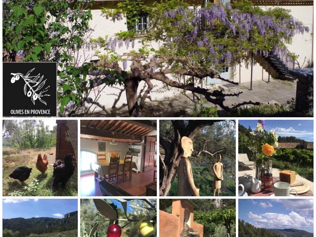 Domaines des Escavalins - Provence - gite - bastide - olive grove - olive oil producer   - holiday - olives - trail - mountain track - GR - PACA - French Riviera - Alps