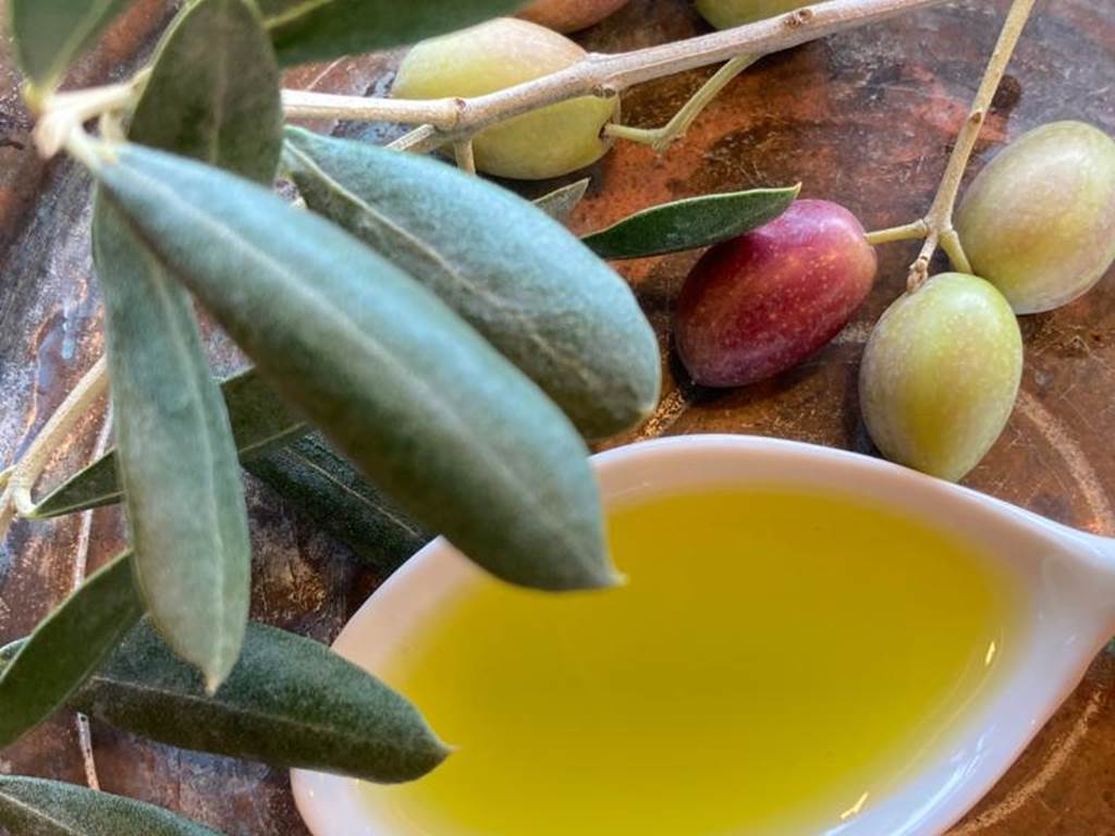 Domaines des Escavalins - Provence - gite - bastide - olive grove - olive oil producer   - holiday - olives - trail - mountain track - GR - PACA - French Riviera - Alps