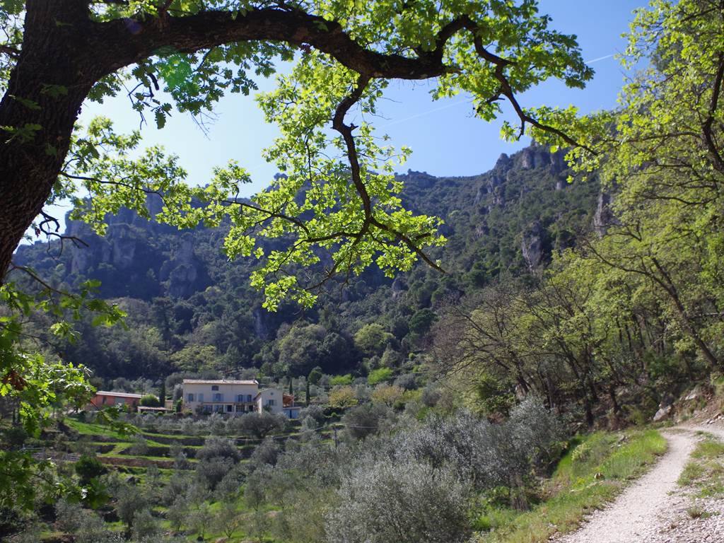 Domaines des Escavalins - Provence - gite - bastide - olive grove - olive oil producer   - holiday - olives - trail - mountain track - GR - PACA - French Riviera - Alps