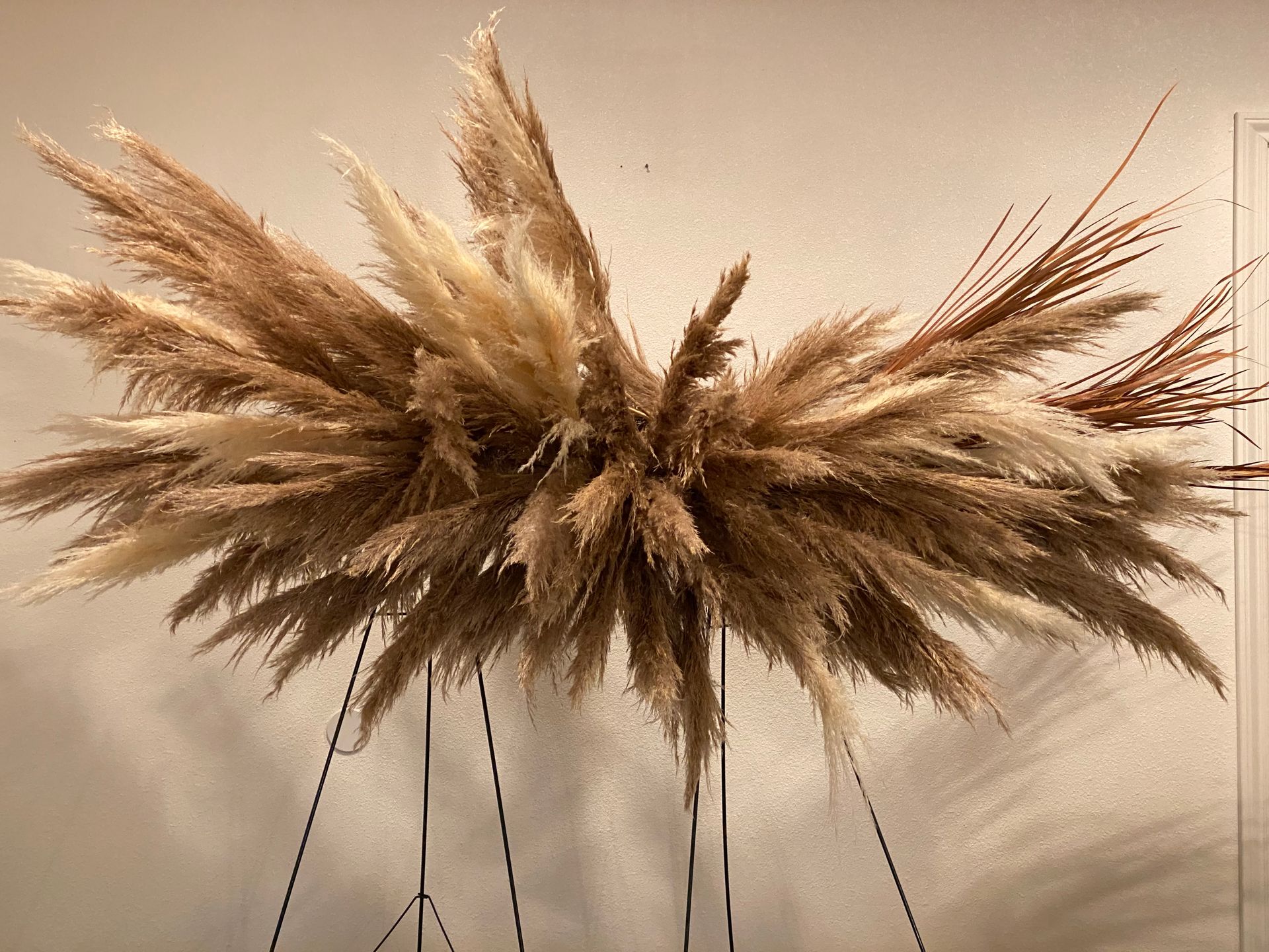 A bunch of dried pampas grass hanging from the ceiling.