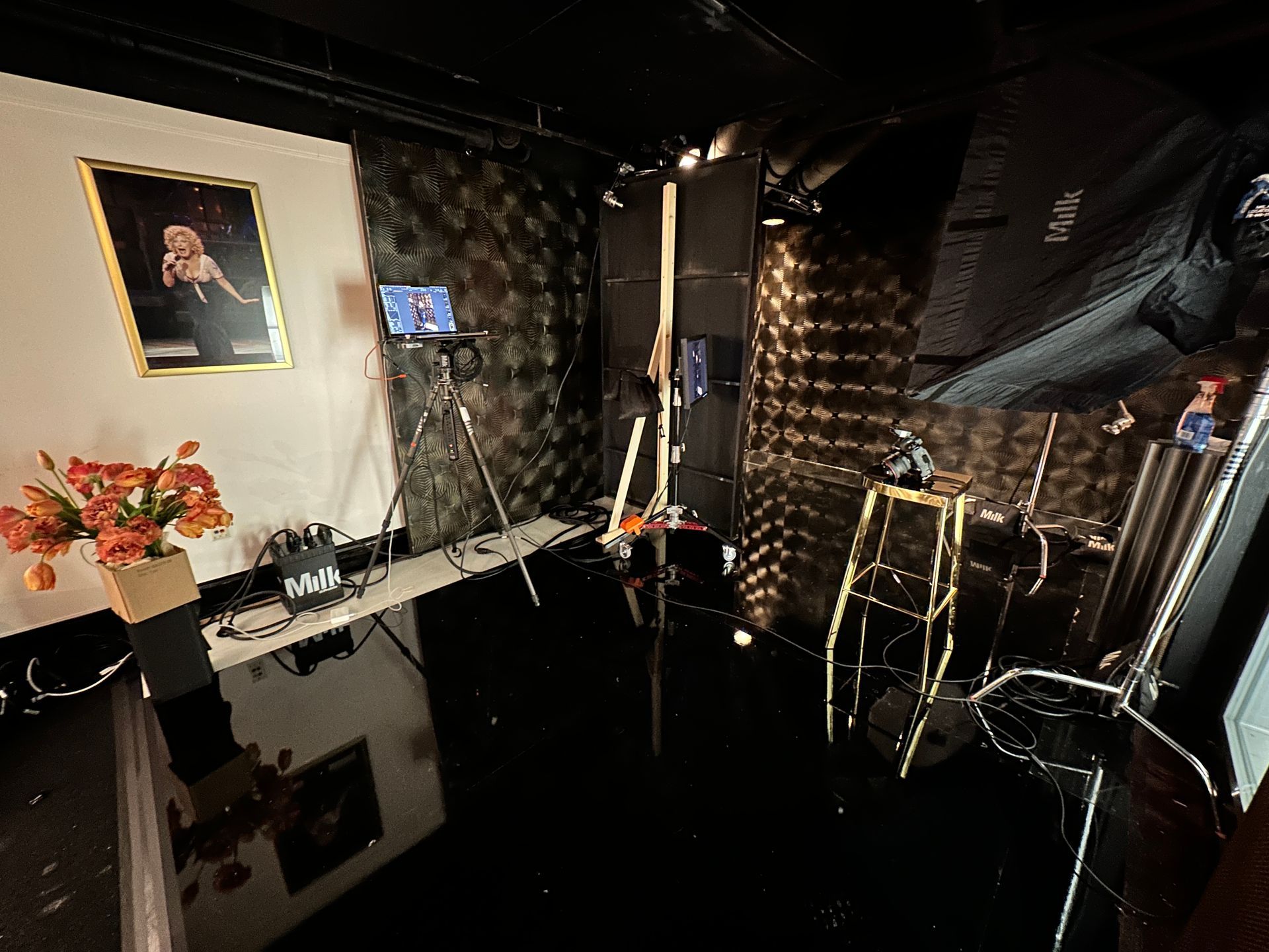 Studio mural: black padded walls with camera and lighting gear.