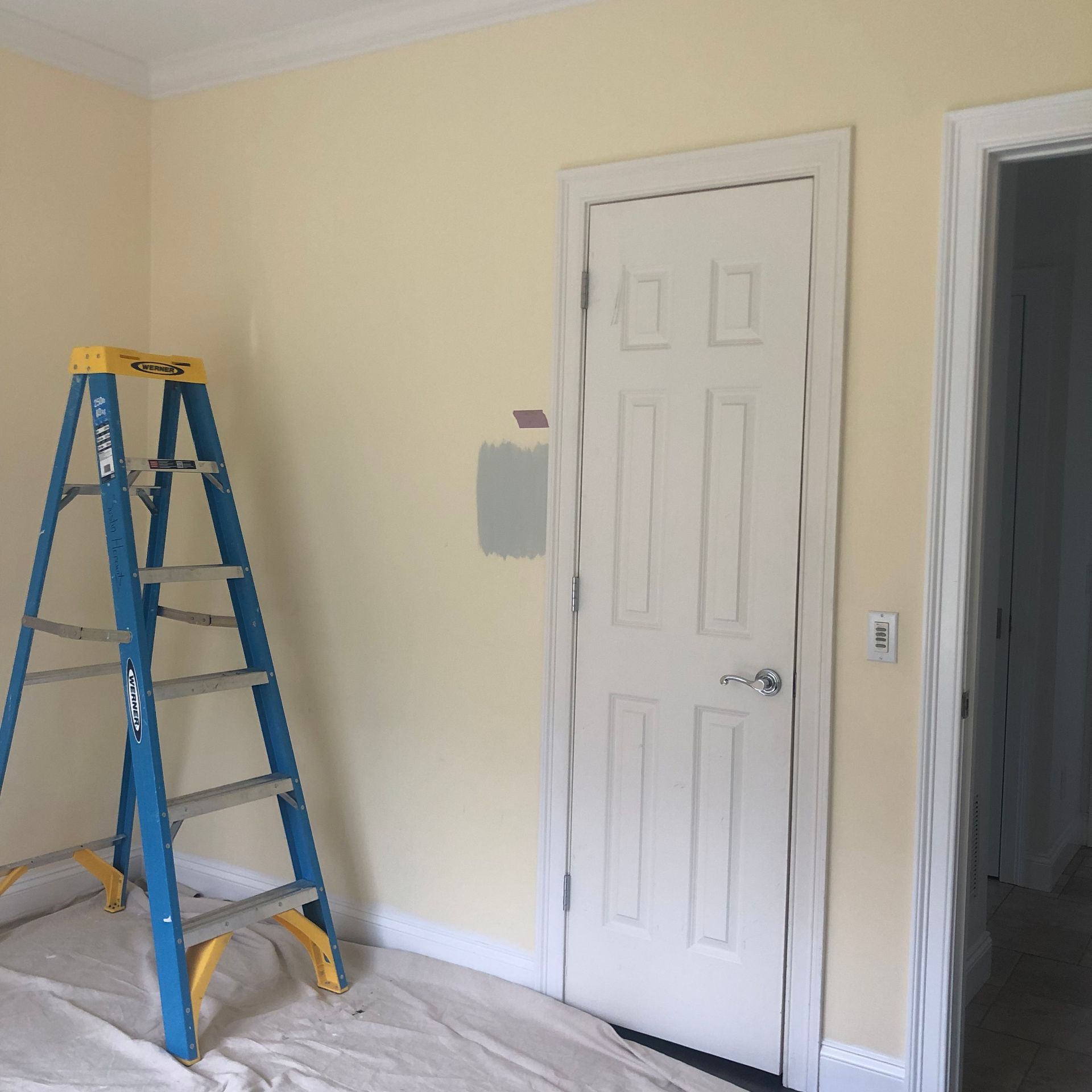 Interior wall with three paint swatches beside a white door, step ladder, and drop cloth—capturing a moment in home repaint planning.