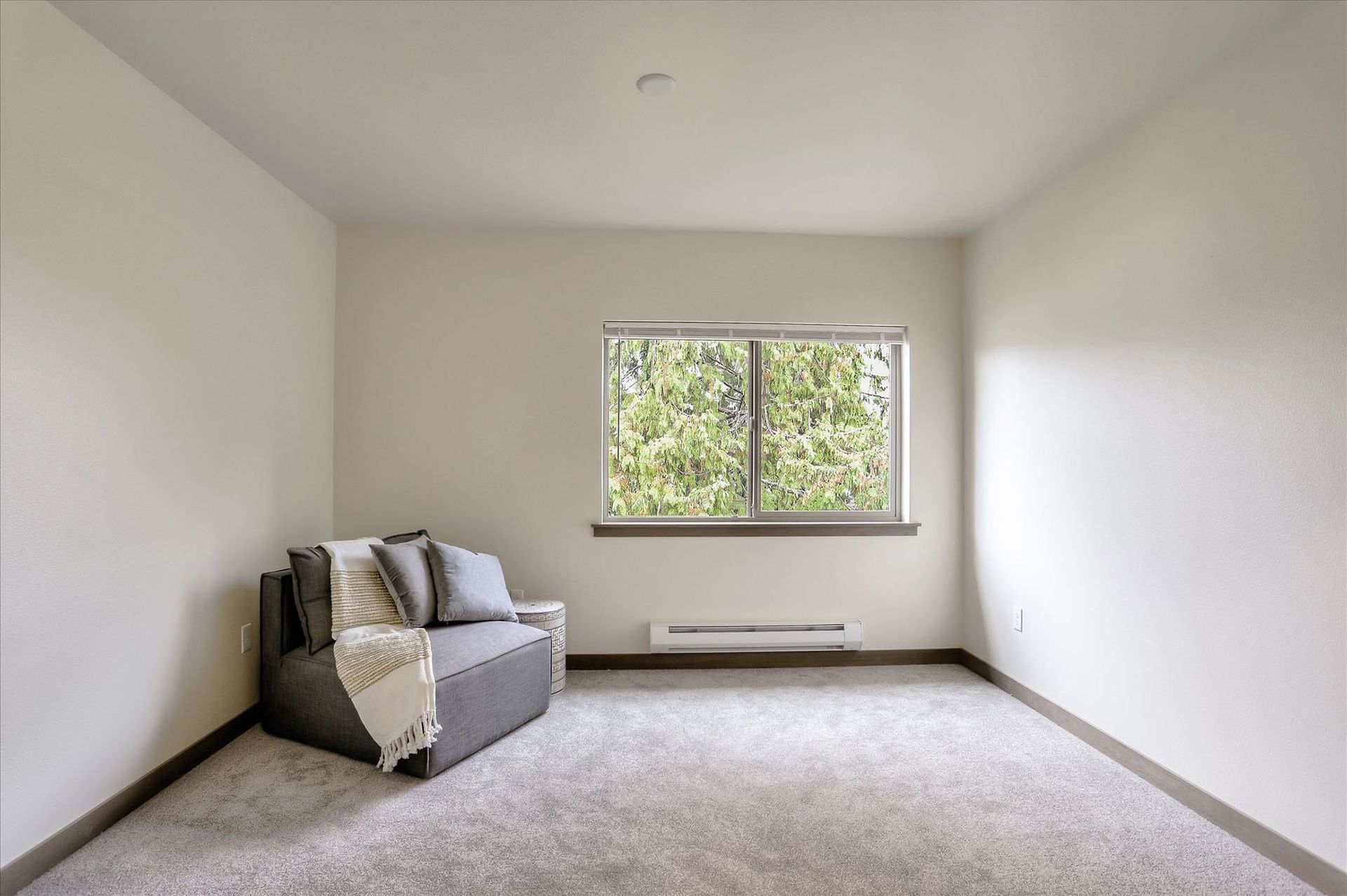 Empty room with grey sofa, window, and neutral carpet.
