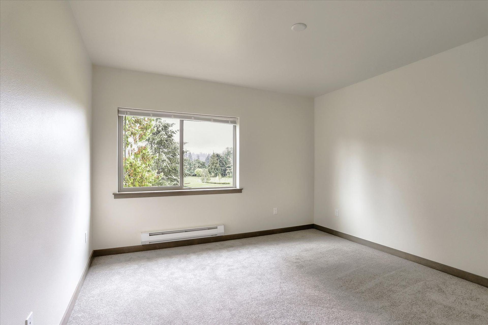 Empty room with a window overlooking trees, white walls, and gray carpet.