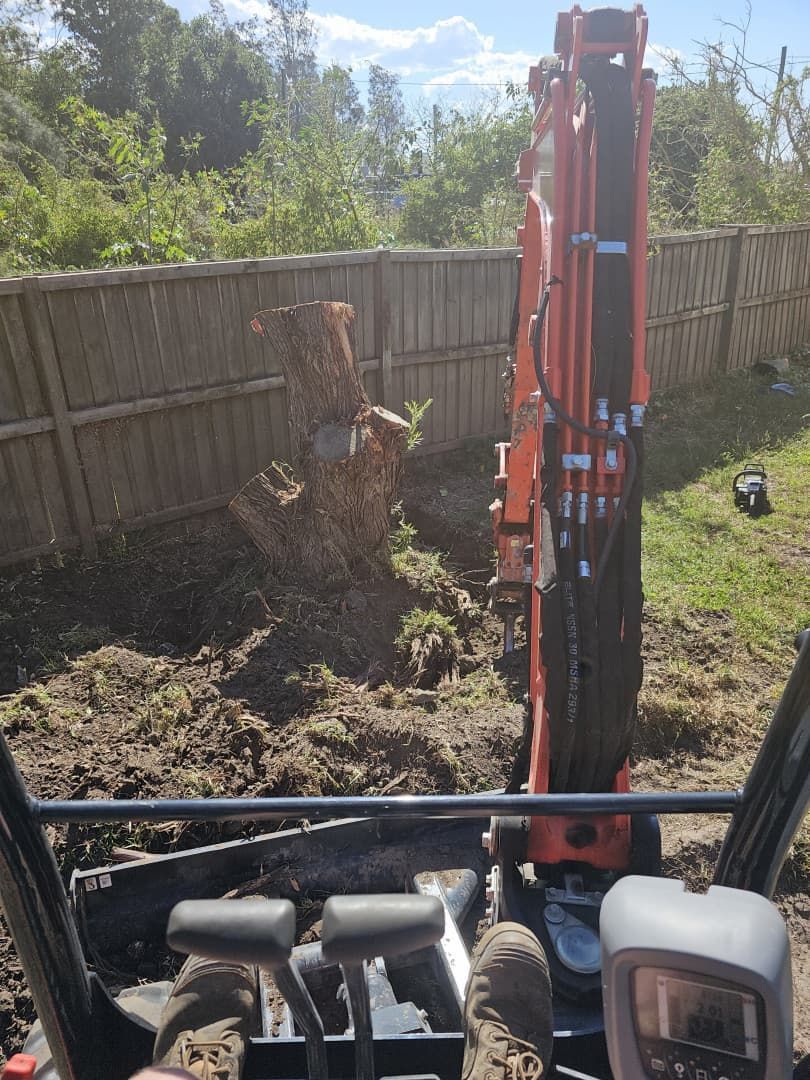 Orange Excavator Removing a Tree Stump Next to a Wooden Fence — JC Excavation and Mechanical Pty Ltd in Raymond Terrace, NSW