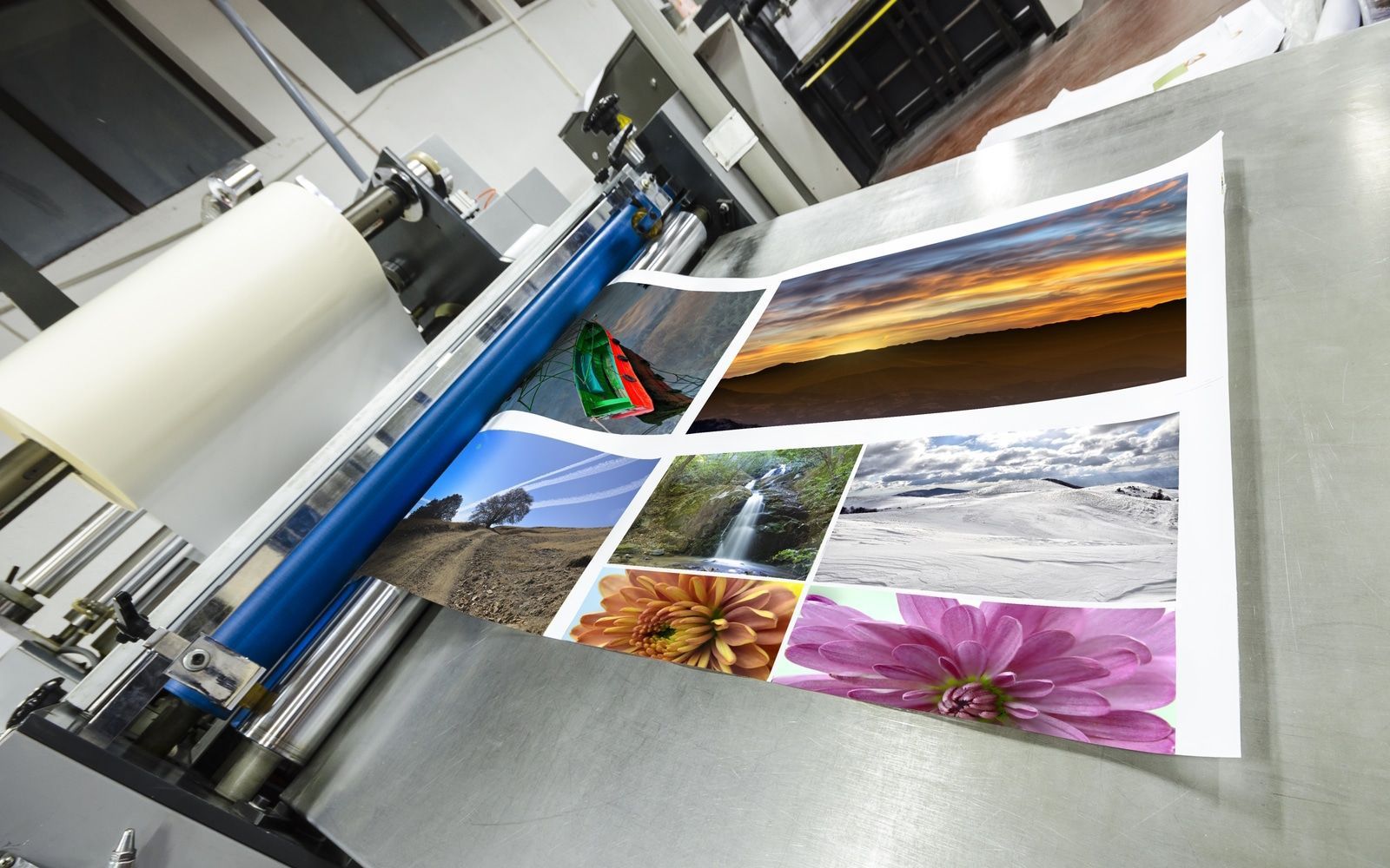 High-quality large scale printing for events and exhibitions by Mousegraphics in South Mountain, AZ.